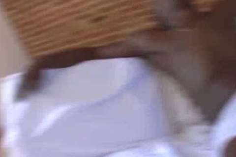 Cuban Boxer