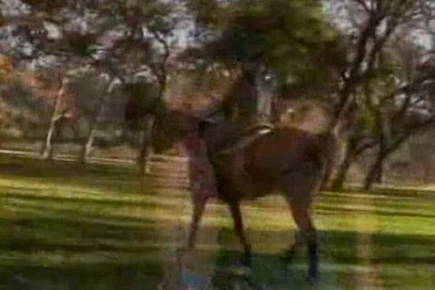 Jeff Stryker Country plow