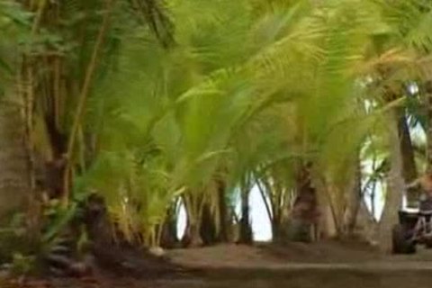 Daniel Marvin bangs Francesco D'Macho