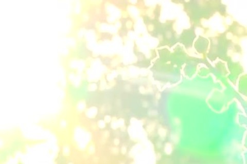 European Tommy Defendi goes in for plowing hard