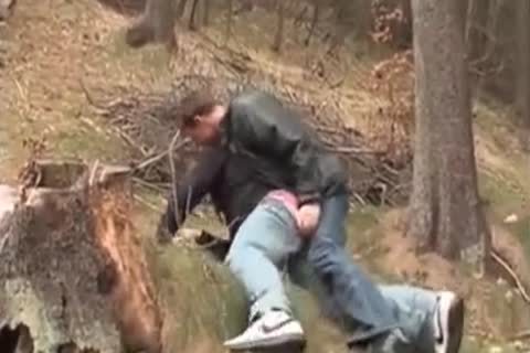 Rolling Around In The Xxx Usually Leads To good Seat Geit