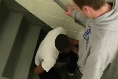 When large 10-Pounder Wiggahs Attack.black Thug