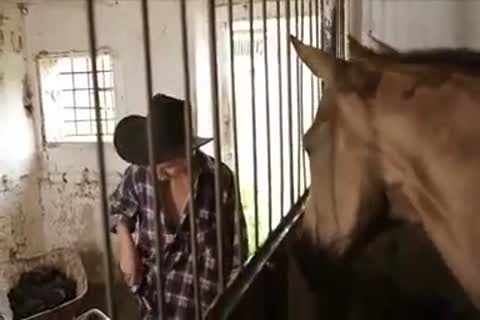 tasty dudes fuck In The Farm