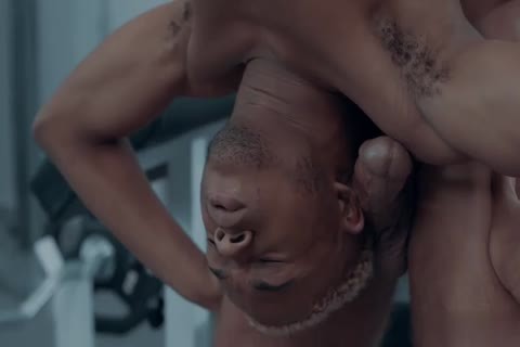 dongs Rub Large Penises Jointly