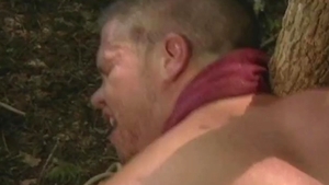 Falcon Studios: Under the Western Sky They Unite