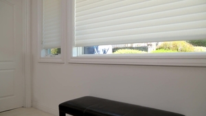 Next Door Buddies: Curtain-Closing Conquests