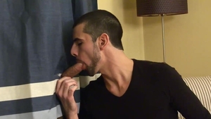 Circle Jerk Boys: From Maryland to Midwest: Dicks Galore