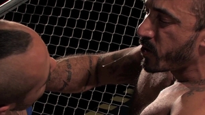 Fetish Force: Growling Studs: Intense Power Struggle